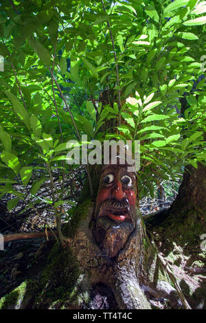 Volto scolpito in un tronco di albero, foresta fantasmi trail (tedesco: Waldgeisterweg), Oberotterbach, Itinerario dei vini tedeschi, Renania-Palatinato, Germania Foto Stock