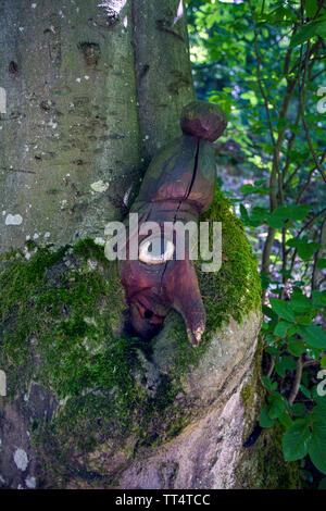Volto scolpito in un tronco di albero, foresta fantasmi trail (tedesco: Waldgeisterweg), Oberotterbach, Itinerario dei vini tedeschi, Renania-Palatinato, Germania Foto Stock