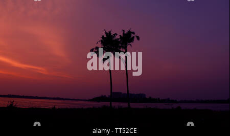 Tramonto tra albero di cocco e il lago Foto Stock