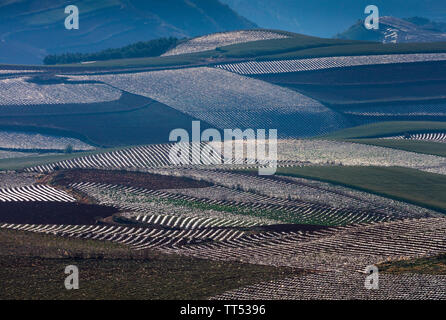 Il paesaggio agricolo in primavera, rosso Terre paesaggio, Dongchuan distretto, nella provincia dello Yunnan in Cina e Asia Foto Stock