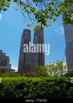 102/5000 Governo Metropolitano di Tokyo edificio in giappone incorniciato in una siepe e rami di alberi in una giornata di sole Foto Stock