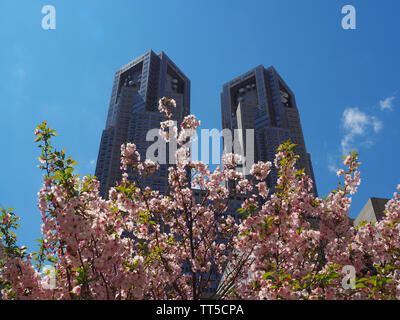 Governo Metropolitano di Tokyo edificio con rosa sakura Cherry Blossoms in primo piano Foto Stock