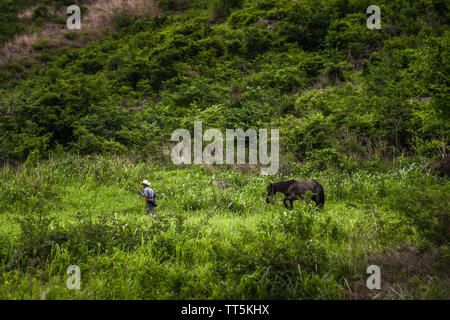 Latin rancher passeggiate a cavallo nella campagna in Guatemala Foto Stock