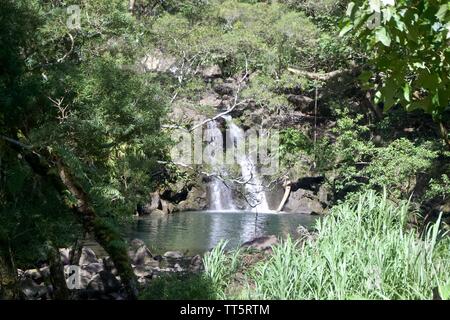 Waikamoi cade sulla strada di Hana in Maui, Hawaii Foto Stock