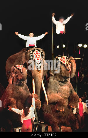 Due giovani ragazzi da una famiglia di circo salutare il pubblico dalle cime dei due elefanti asiatici mentre si esegue presso il Festival Internazionale del Circo di Monte Carlo che si svolge annualmente nel Principato di Monaco sulla Riviera francese in Europa. Il celebre festival è stato creato nel 1974 dal compianto il Principe Ranieri III che ha una passione per il circo e ha voluto mostrare e onorare i suoi migliori esecutori provenienti da tutto il mondo. La manifestazione prosegue la presente giorno e ogni gennaio presenta 25 del circo superiore agisce nel business. Foto Stock