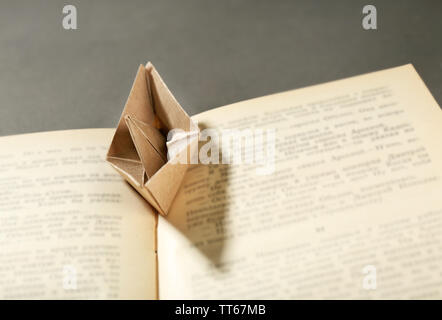 Origami barca sul vecchio libro, close up Foto Stock