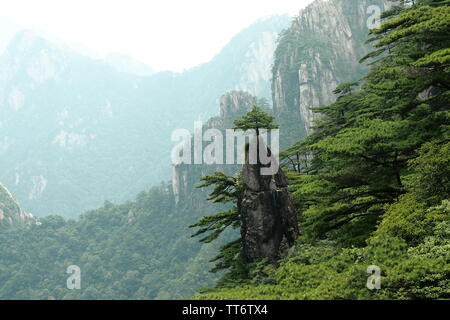 Vista di cime e piccolo albero di huangshan / giallo le montagne della Cina dopo escursioni fino alla parte superiore e le arrampicate milioni di gradini e scale Foto Stock