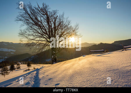 Inverno bellissimo paesaggio di Natale. Footprint umana tracciato in bianco cristallo di neve profonda in un campo vuoto, abete rosso della foresta di alberi, colline e montagne o Foto Stock