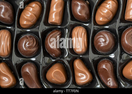 Close-up vista superiore di varie praline di cioccolato. Sweet Food sfondo. Foto Stock