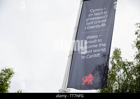 Cardiff Wales, Regno Unito, 15 giugno 2019. Vista generale di branding di Cardiff al di fuori del terreno prima della Coppa del Mondo di cricket match tra il Sud Africa e l'Afghanistan a Cardiff Galles Stadium. Le settimane di apertura della Coppa del Mondo di cricket sono state colpite dalla pioggia diffusa in tutta l'Inghilterra e Galles. Credito: Mark Hawkins/Alamy Live News Foto Stock