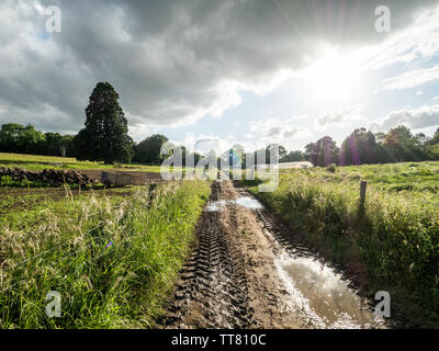 Terreno agricolo annesso al Bhaktivedanta Manor. Casa di campagna di Mock-Tudor donata da George Harrison come centro per i rituali e l'apprendimento ISKCON. Foto Stock