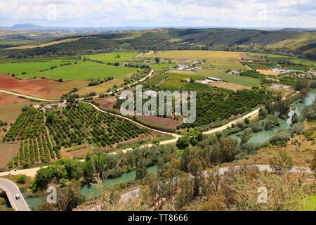 Spagna, Andalusia, Arcos de la Frontera, frutteti, campi vista aerea, Foto Stock