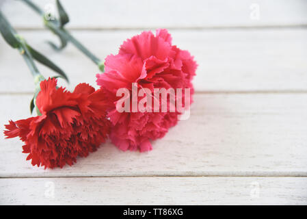 I colori rosso e rosa fiori di garofano fiore bianco su sfondo di legno Foto Stock