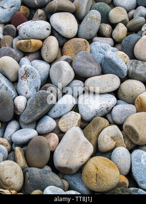Una varietà di differenti multi ciottoli colorati sulla spiaggia di Baia Limeslade, Swansea, Gower, Wales, Regno Unito. Foto Stock