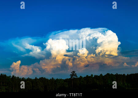 Un thunderhead di cloud si avvicina a distanza Foto Stock