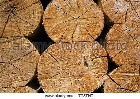 Blocchi di legno sulla parte superiore di ogni altro sotto il sole Foto Stock