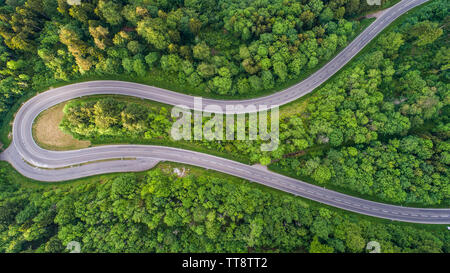 Angolo di Alta Vista di Mountain Pass Road nel mezzo di alberi Foto Stock