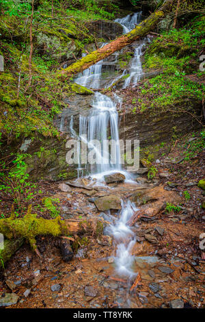 Colpo verticale di un po' di Smoky Mountain cascata in primavera. Foto Stock