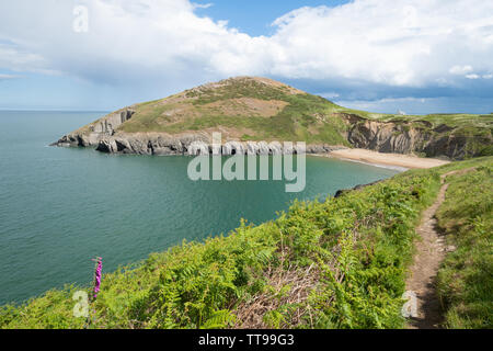 Il sentiero costiero presso la pittoresca baia di Mwnt in Ceredigion, Galles Foto Stock