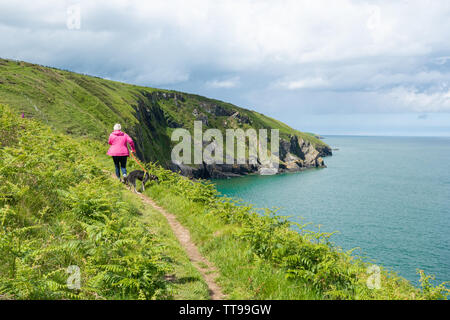 Il sentiero costiero presso la pittoresca baia di Mwnt in Ceredigion, Galles Foto Stock