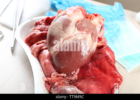 Cuore organo in medical vassoio metallico con strumenti su tavola, primo piano Foto Stock