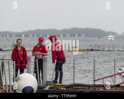 Toronto, Canada. Il 15 giugno, 2019. Sightseeing Tours' personale di conversazione e di attesa per i clienti in una giornata di vento Foto Stock