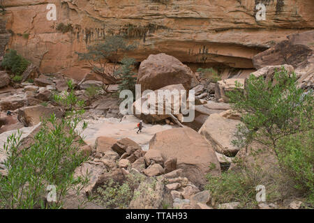 Trekking nel bellissimo canyon Torotoro, Torotoro, Bolivia Foto Stock