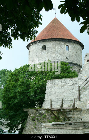 TALLINN ESTONIA - ON 07/25/2009 - Il castello di Toompea, themedieval nella città di Tallinn, Estonia Foto Stock