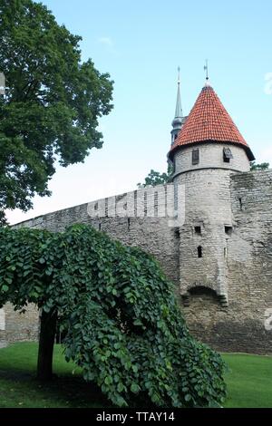 TALLINN ESTONIA - ON 07/25/2009 - Il castello di Toompea, themedieval nella città di Tallinn, Estonia Foto Stock