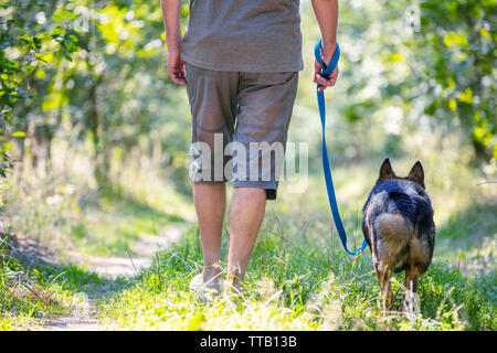 Un uomo cammina con un cane nei Boschi in estate. Uomo con un cane al guinzaglio Foto Stock