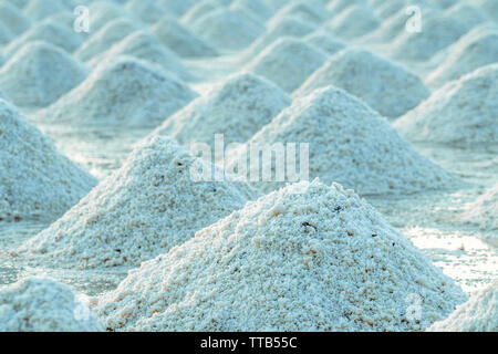 Il sale di mare fattoria in Thailandia. Organici di sale marino. Evaporazione e cristallizzazione di acqua di mare. Il materiale grezzo di sale industriale. Il cloruro di sodio. Energia solare Foto Stock