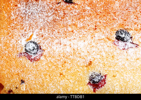 Torte fresche con il ribes nero Foto Stock