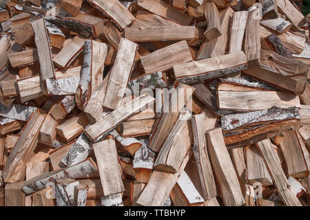Grande pila di legno di betulla vista superiore Foto Stock