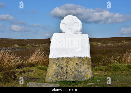 Dipinto di bianco Bettymarker grasso sulla Danby alta Mori. Foto Stock