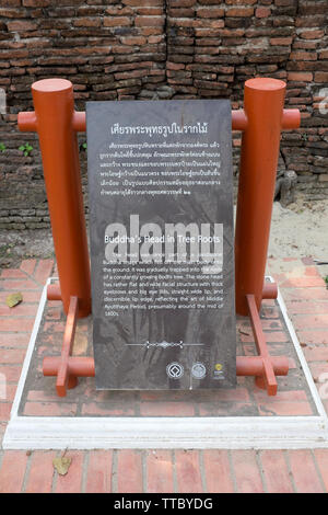 Avviso circa la testa di Buddha in radici di alberi Wat Mahathat a AyutthayaThailand Foto Stock