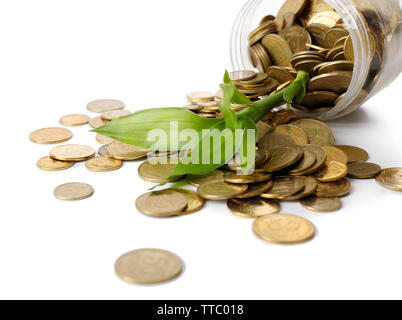 Pianta che cresce in monete sparse dalla bottiglia Foto Stock