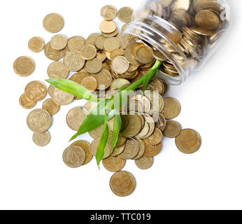 Pianta che cresce in monete sparse dalla bottiglia Foto Stock