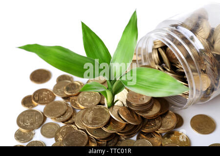 Pianta che cresce in monete sparse dalla bottiglia Foto Stock