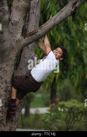 Boy hanging on a tree branch and smiling Stock Photo