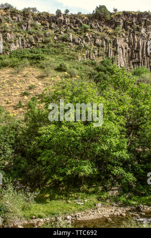 Canyon parete di basalto vicino alla riva del fiume Azat tra gli alberi e pietre nel fiume che scorre attraverso la gola di Garni in Armenia Foto Stock