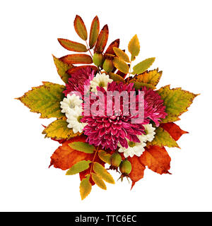 Autunno bouquet con aster fiori e foglie secche isolato su bianco Foto Stock