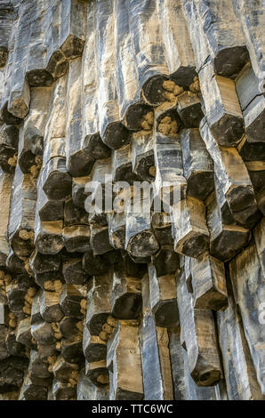 Nelle ombre sulle rocce sotto le colonne di basalto di migrazione di rondoni e rondini realizzato i loro nidi nella gola di Garni in Armenia Foto Stock