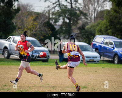 Hallam, VIC, Australia. Il 15 giugno 2019. Lyndale Puma n. 10 tenuto un lungo kick down verso l'avanti 50 durante la cerimonia inaugurale Paul Thomas Cup. Foto Stock