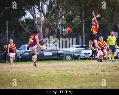 Hallam, VIC, Australia. Il 15 giugno 2019. Hallam falchi n. 5 salta a difesa di un calcio di punizione presi da Puma n. 10 Alla sessione inaugurale del Paul Thomas Cup. Foto Stock