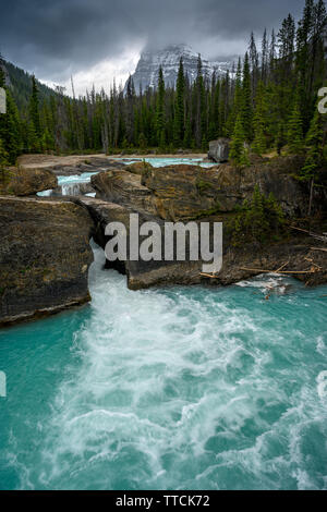 Il Fiume Kicking Horse fluisce giù dalle montagne, divenne una cascata prima di passare sotto un ponte naturale, Parco Nazionale di Yoho, British Columbi Foto Stock