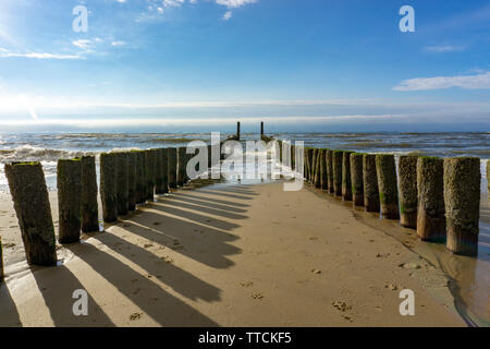 Spiaggia del Mare del Nord vicino a Domburg, Zeeland, Walcheren penisola, Paesi Bassi, posti di legno, pennelli, Foto Stock