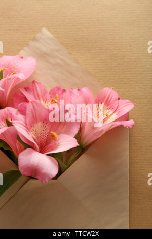 Alstroemeria rosa in busta su sfondo beige Foto Stock