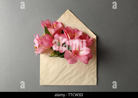 Alstroemeria rosa in busta su sfondo grigio Foto Stock