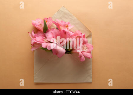 Alstroemeria rosa in busta su sfondo beige Foto Stock