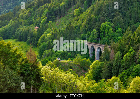 Ravenna viadukt nella valle Hoellental, Breitnau, Germania Foto Stock